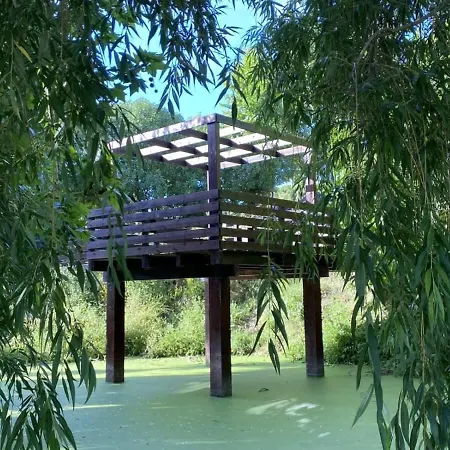 Da Silva Surf One 로리냐