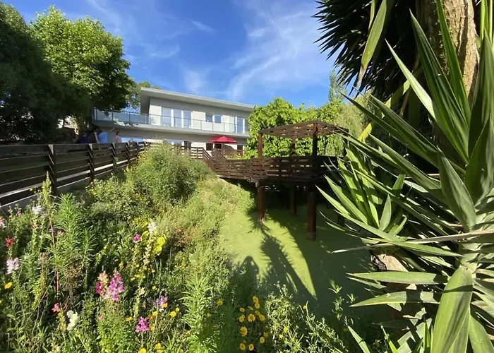 Da Silva Surf One 로리냐