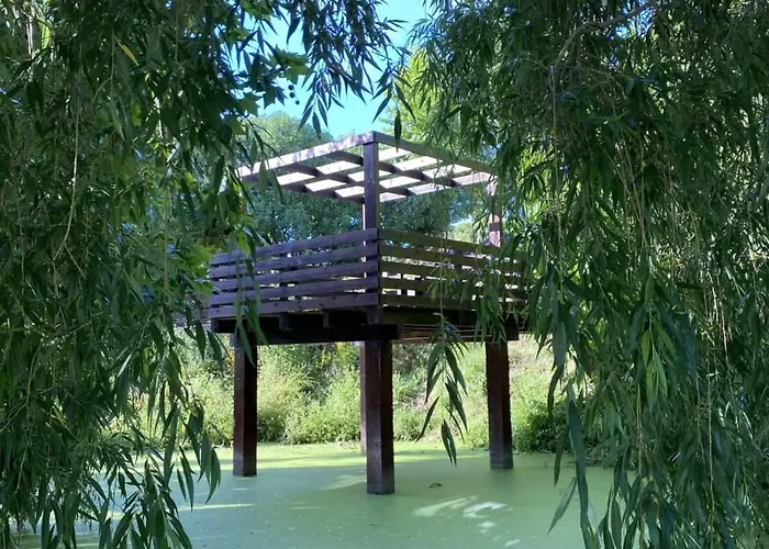 Da Silva Surf One 로리냐